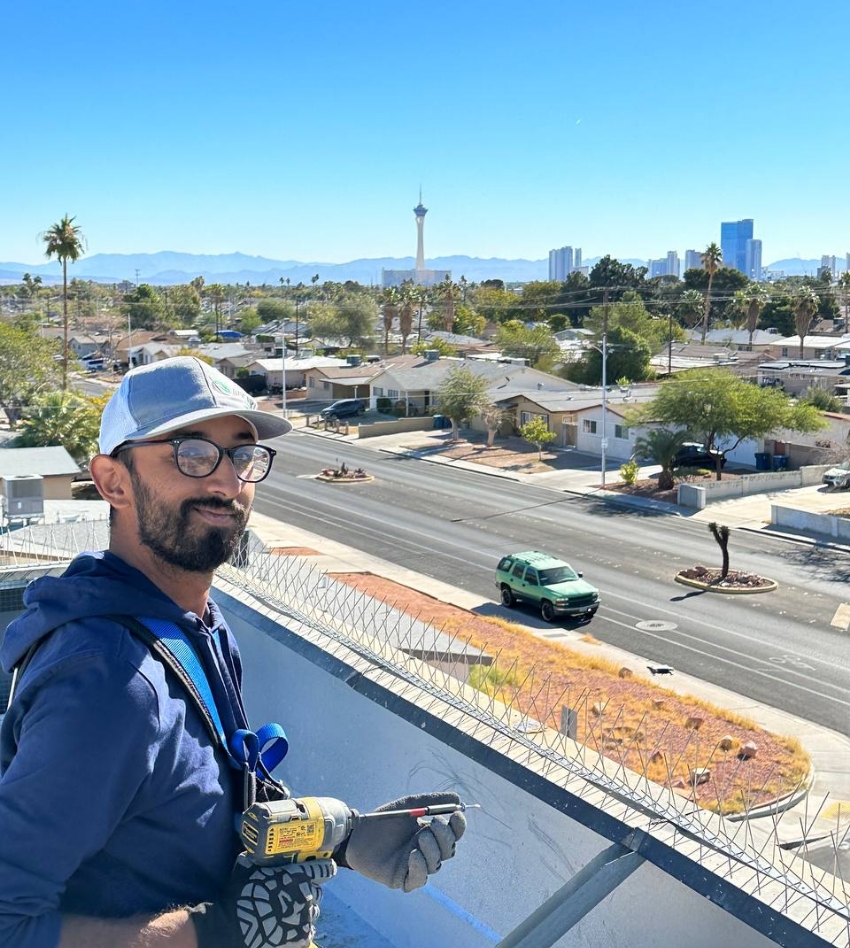 commercial solar panel turf cleaning