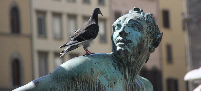 A pigeon on a statue.