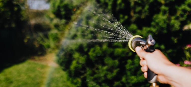 A person forming a rainbow with a garden hose.