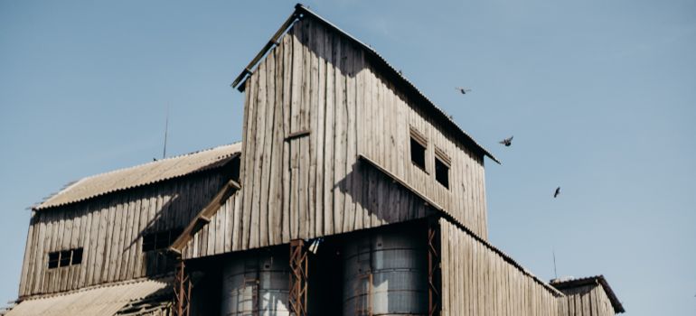 commercial silo without bird control