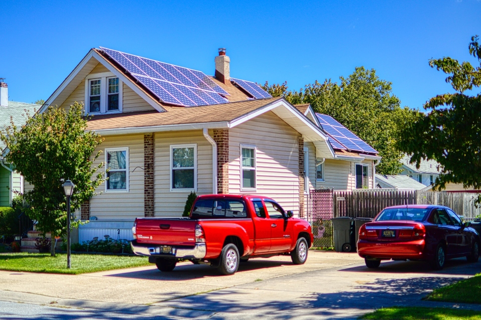 Pro tips for preventing birds from nesting under solar panels