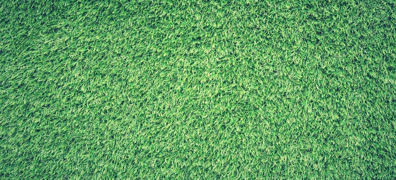 artificial grass