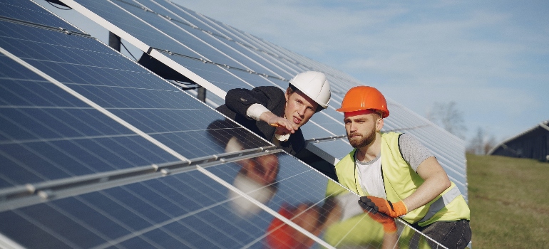 men on a solar panel roof wanting to get rid of birds in trees