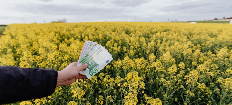 A hand of the person holding money in the nature