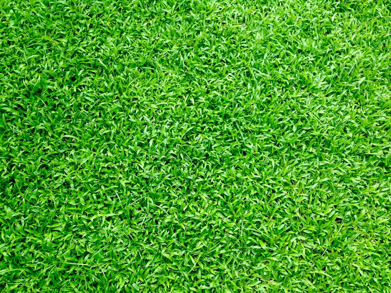 Artificial turf maintenance in the winter