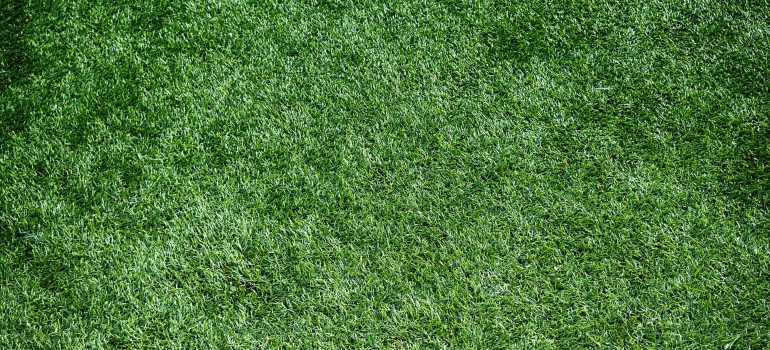 A close-up of artificial turf.