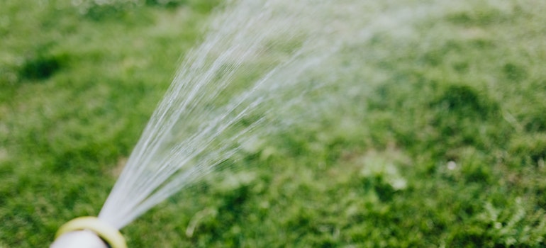 Using hose on the grass as a symbol of how to get dog pee out of artificial turf