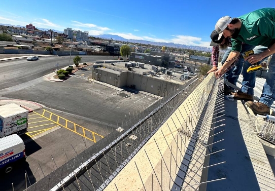 solar cleaning