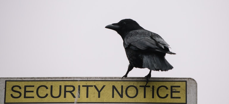 bird standing on a security notice sign