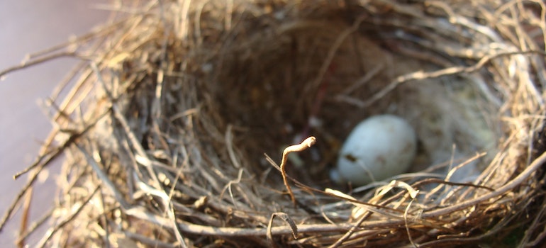 A cup nest