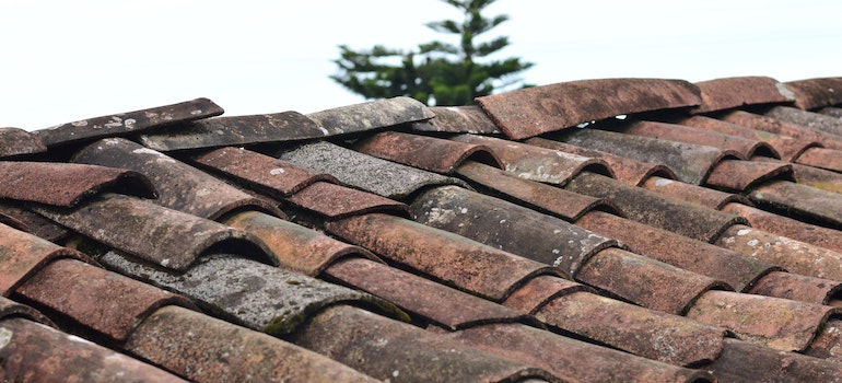 Loose or a bit damaged shingles