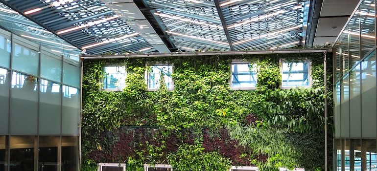 A live green wall in an office as an example of what to do with extra artificial turf